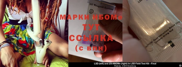 индика Балабаново