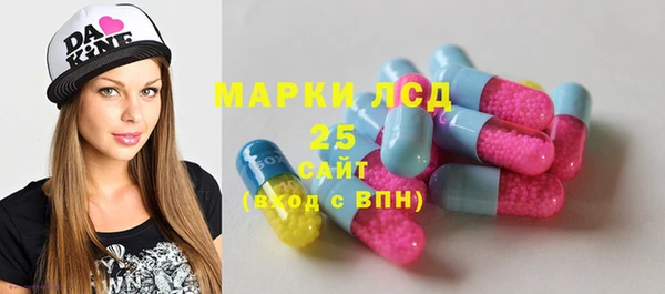 индика Балабаново