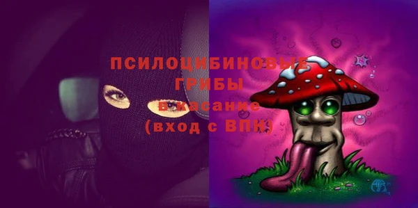 ECSTASY Балахна