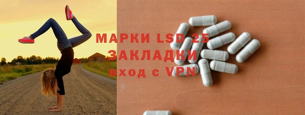 индика Балабаново