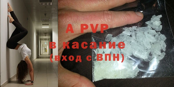 индика Балабаново