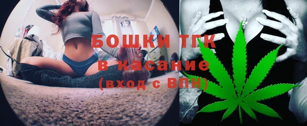 индика Балабаново