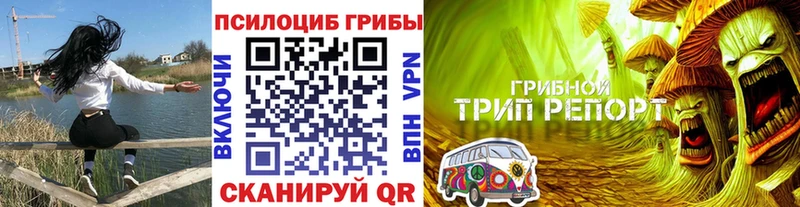 мега ссылка Няндома Псилоцибиновые грибы Magic Shrooms